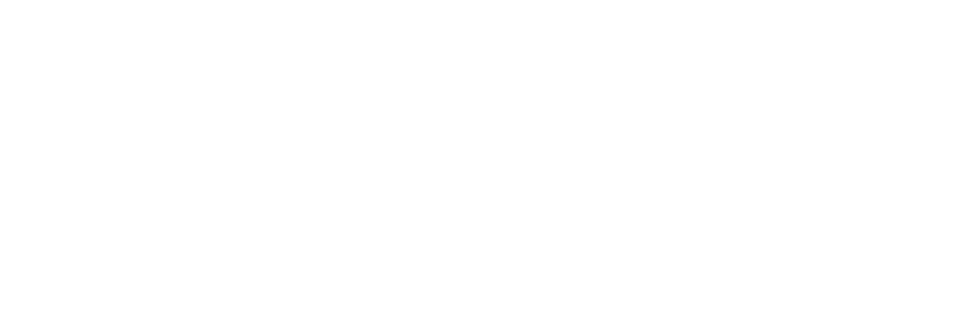 delona-logo-x